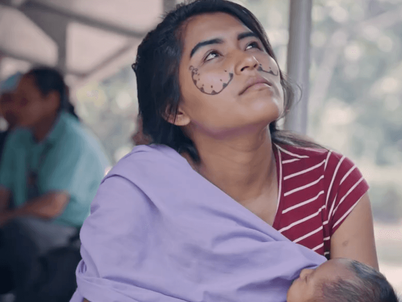 amazons-solar-boats-bringing-hope-for-the-future-featured